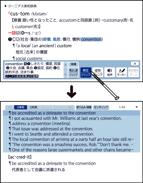 Examine_Example_Sentences Phrases 002 SA6500